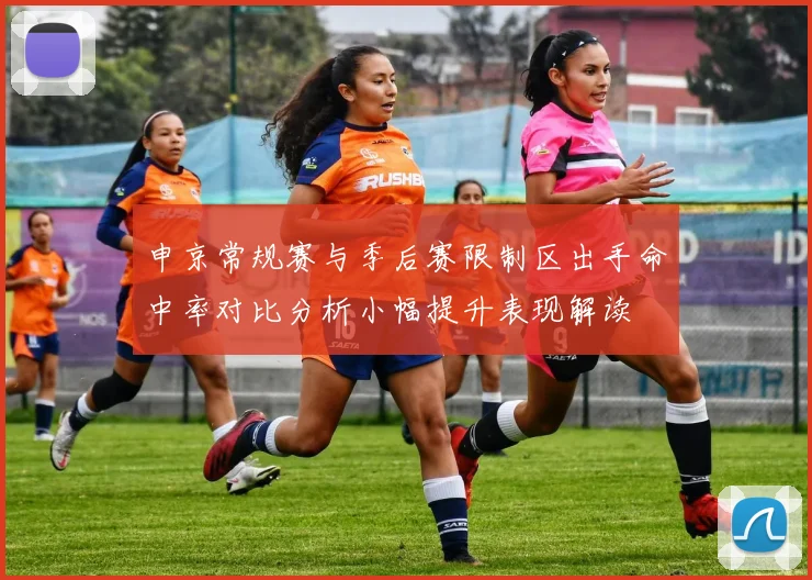 申京常规赛与季后赛限制区出手命中率对比分析小幅提升表现解读